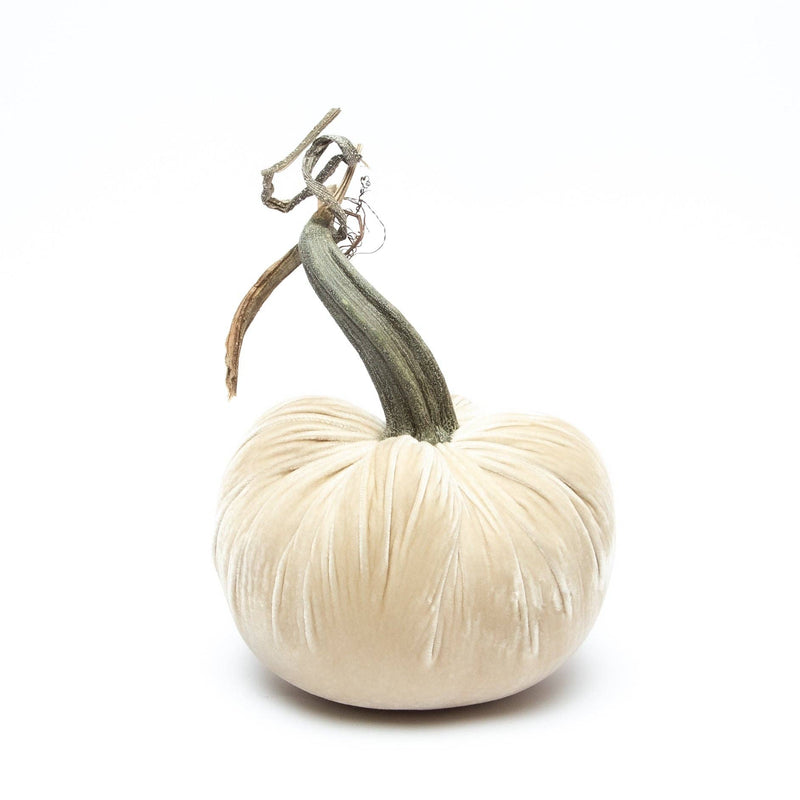 Silk Velvet Pumpkin