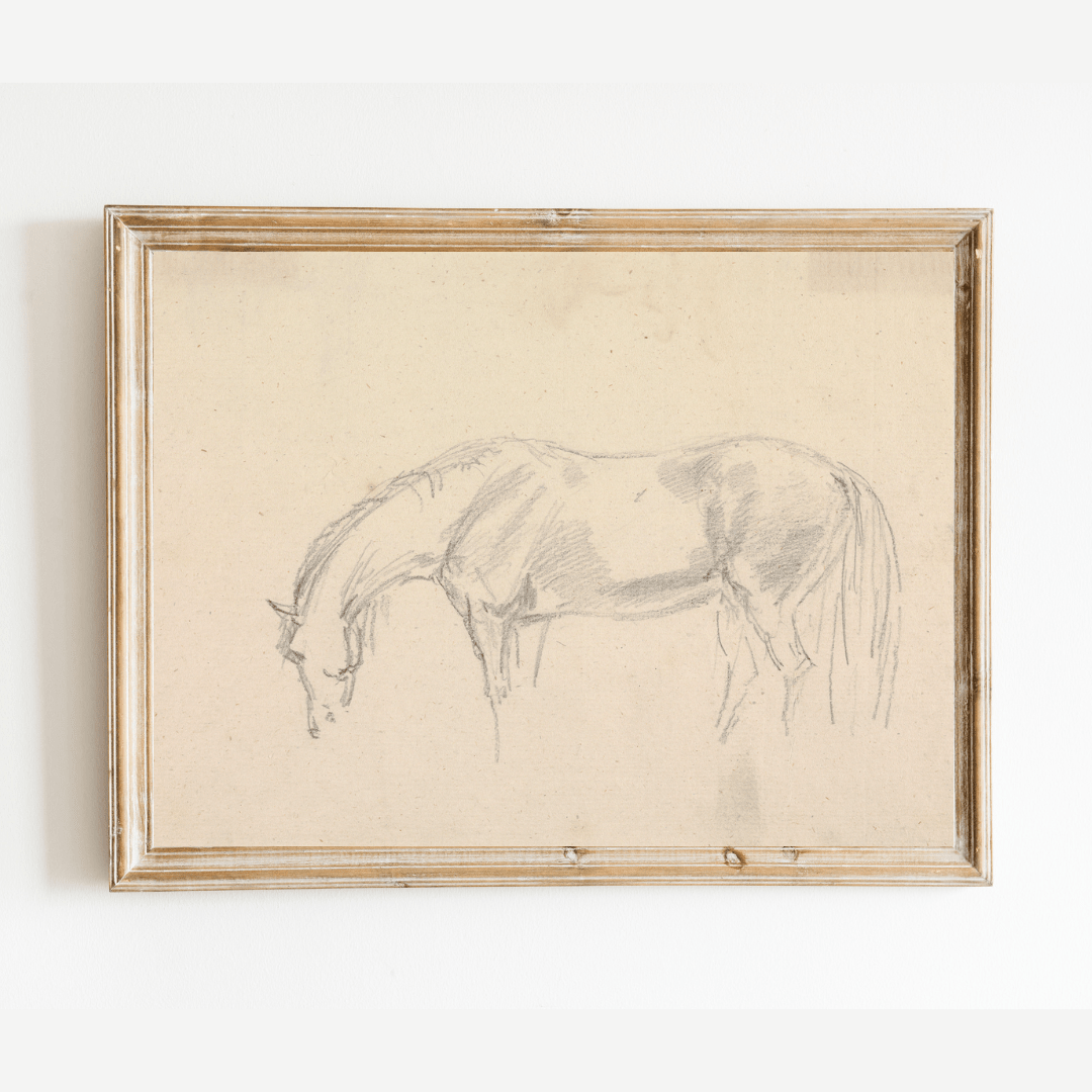 
                  
                    A Horse Grazing Sketch Antique Art Print: 5x7 - Curated Home Decor
                  
                