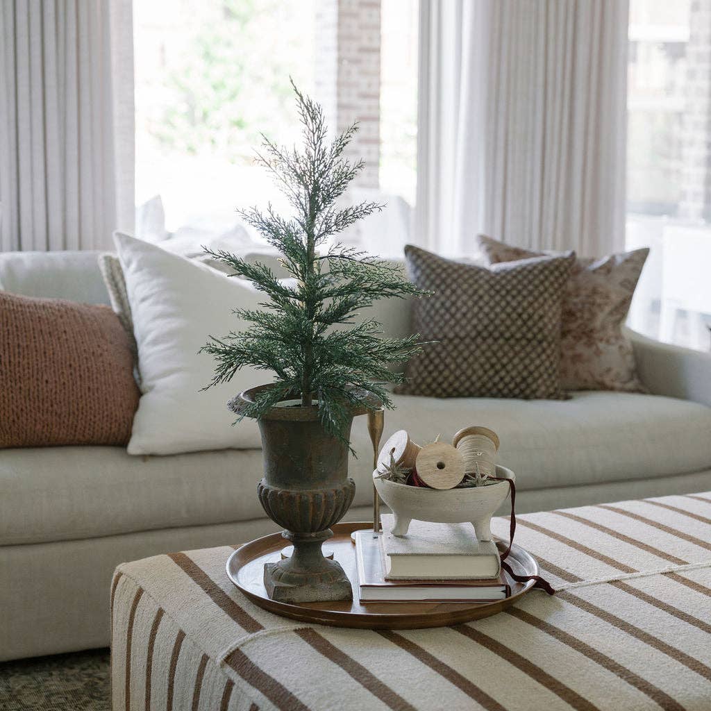 36" Cedar Tree with Cream Pot - Curated Home Decor