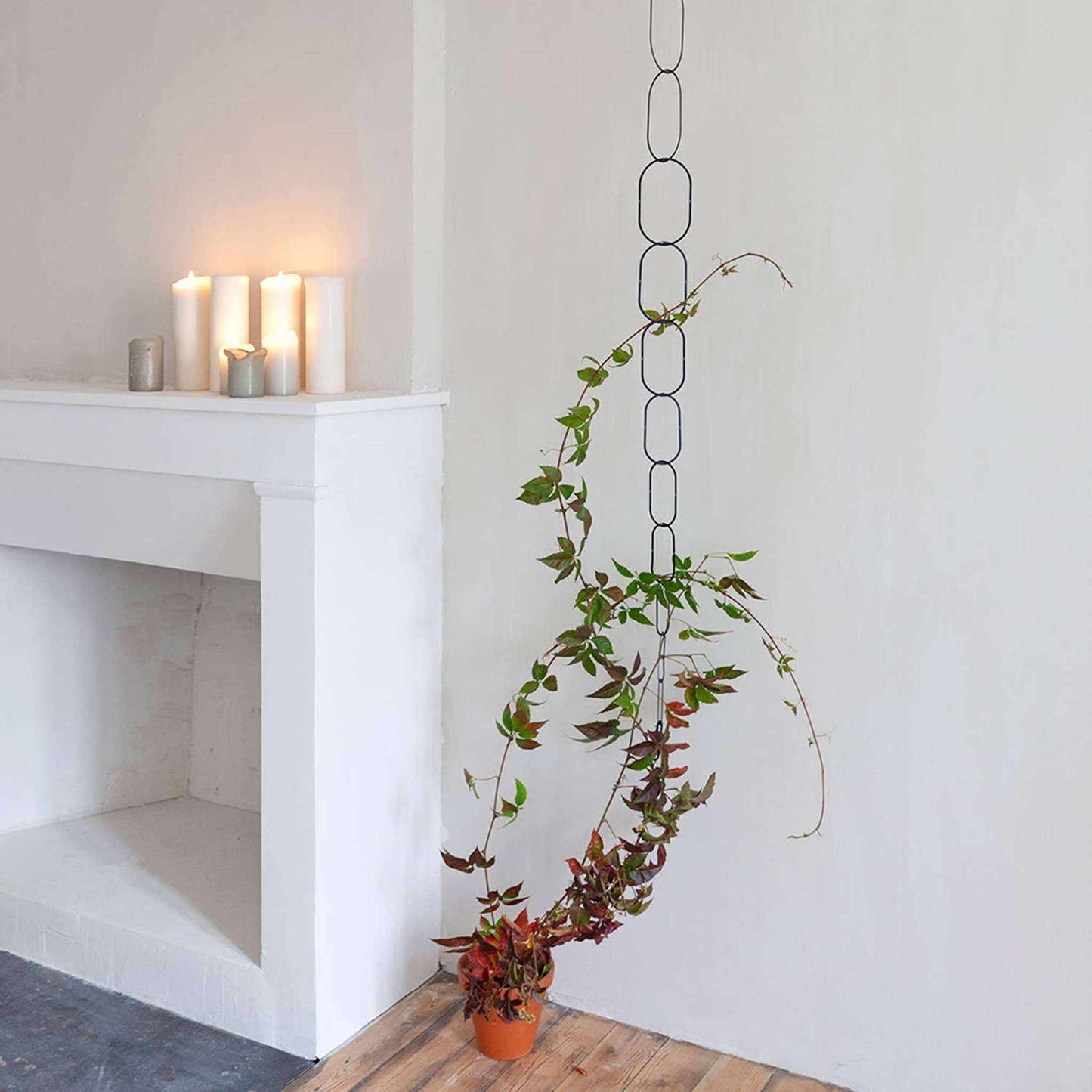 Black Brass Chain - Plant Support for climbing plants - Curated Home Decor