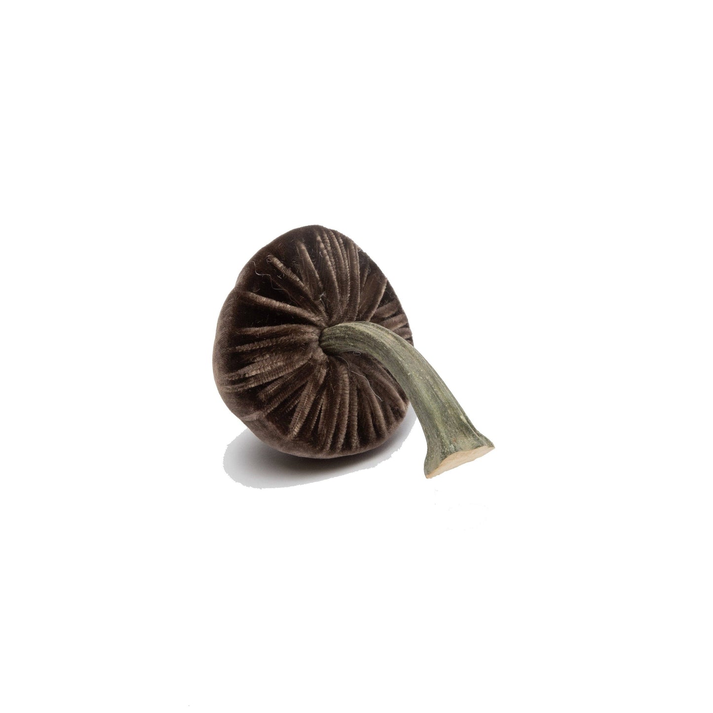 
                  
                    Mini Espresso – 2"
                  
                