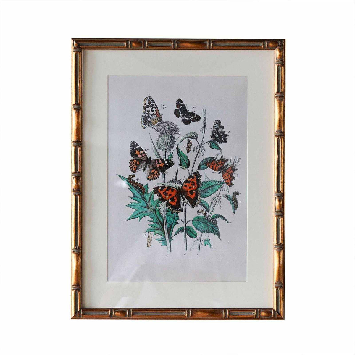 
                  
                    Burnley Matted Frame - Curated Home Decor
                  
                