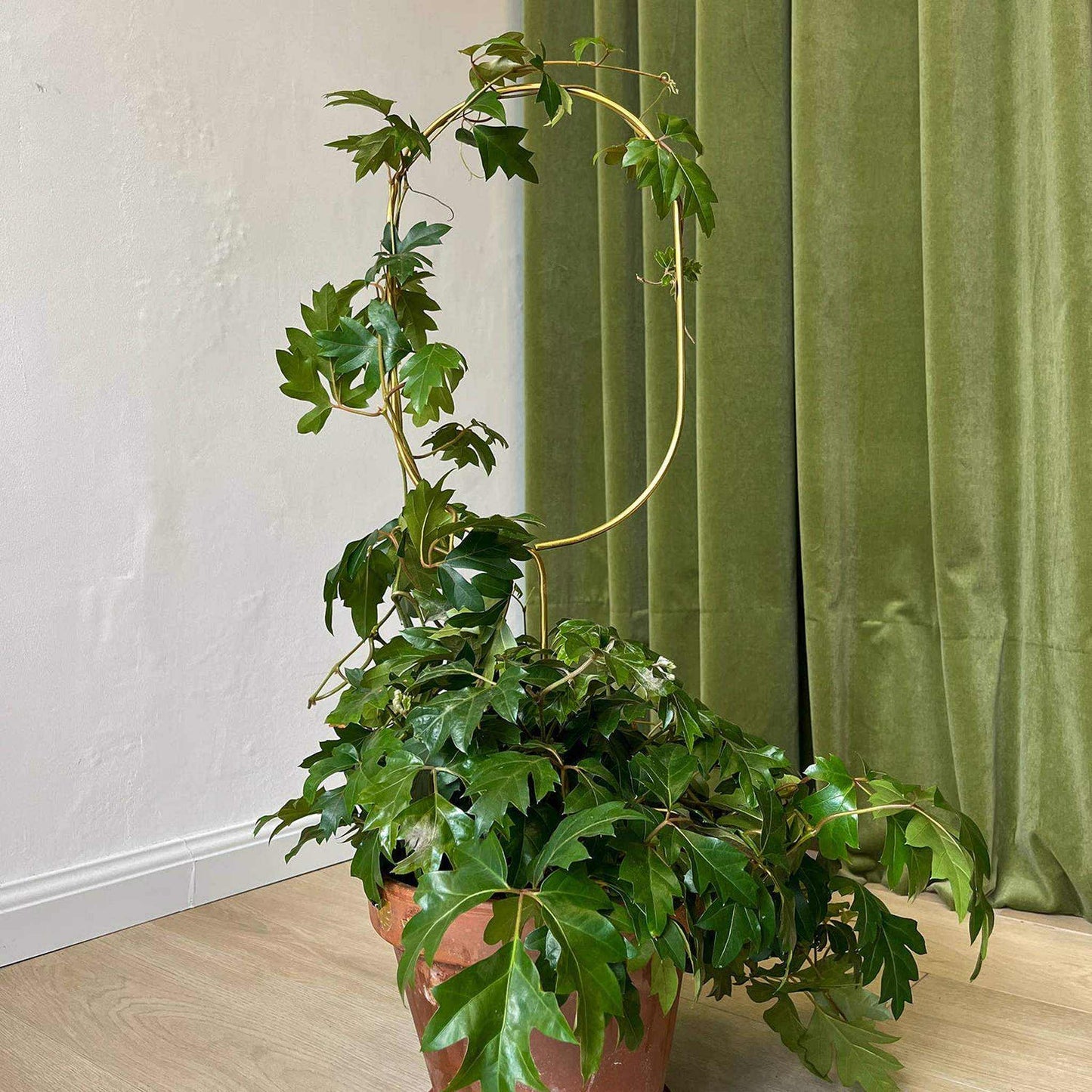 
                  
                    Gold Metal Plant Stake – Arch - Curated Home Decor
                  
                