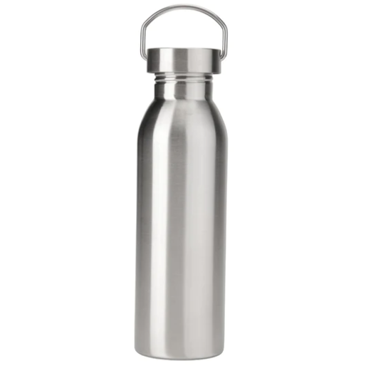 Stainless Steel Water Bottle 700ml - Curated Home Decor