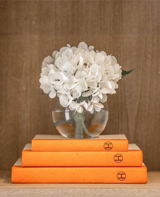 Orange H Stack of 3 Book Set