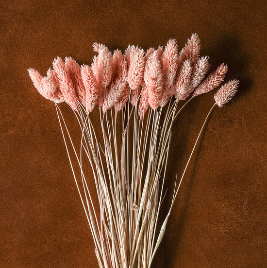 Mixed Dried Grasses and Blush Florals, 20"