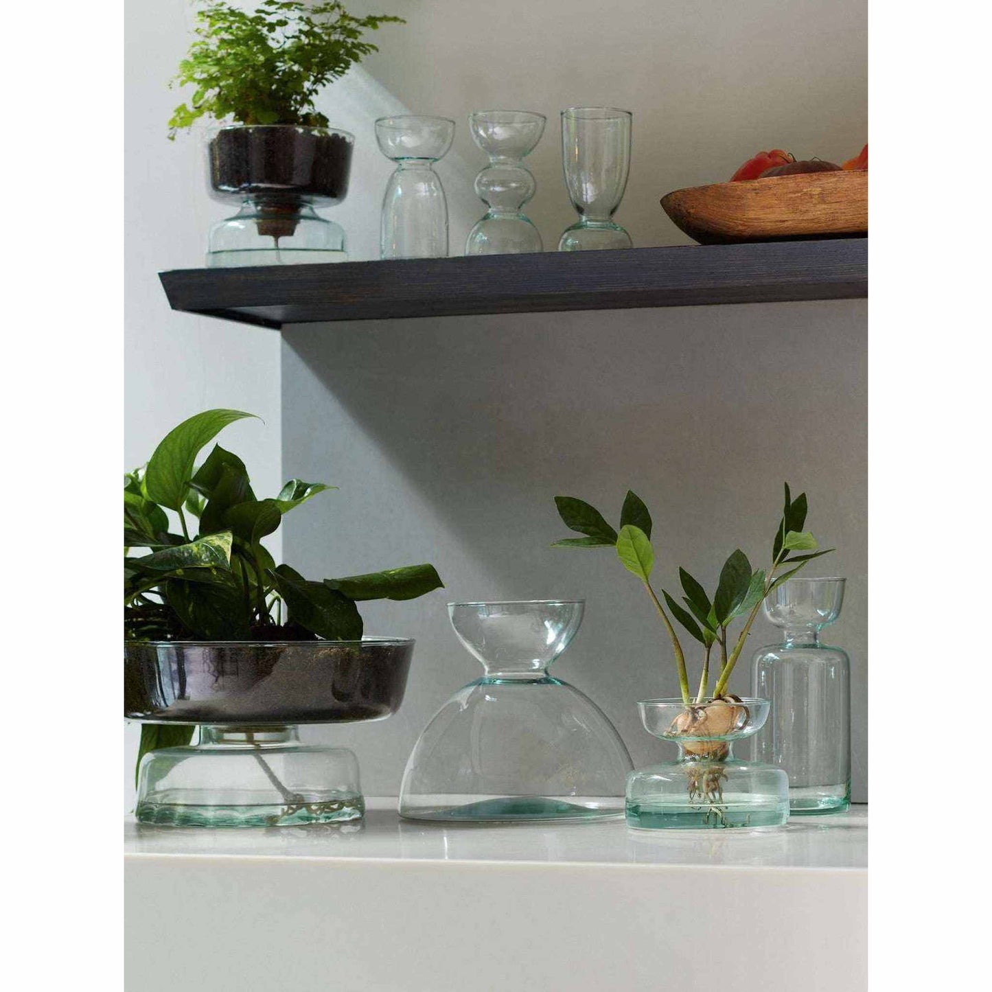 7.25in dome-shaped mouth blown recycled glass Canopy Vase inspired by Eden Project with plants and flowers display