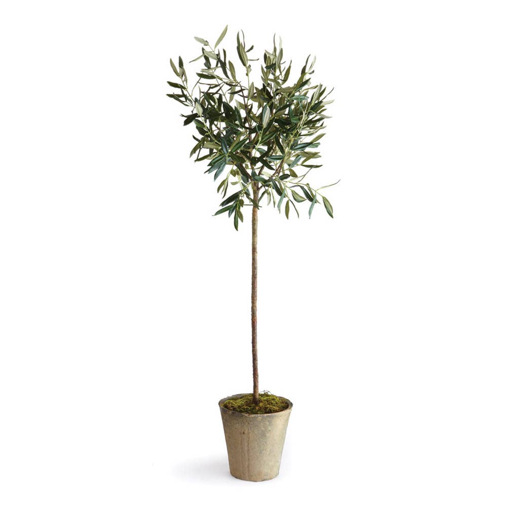 Conservatory Faux Olive Tree Tree in Ceramic Planter 46" - Curated Home Decor