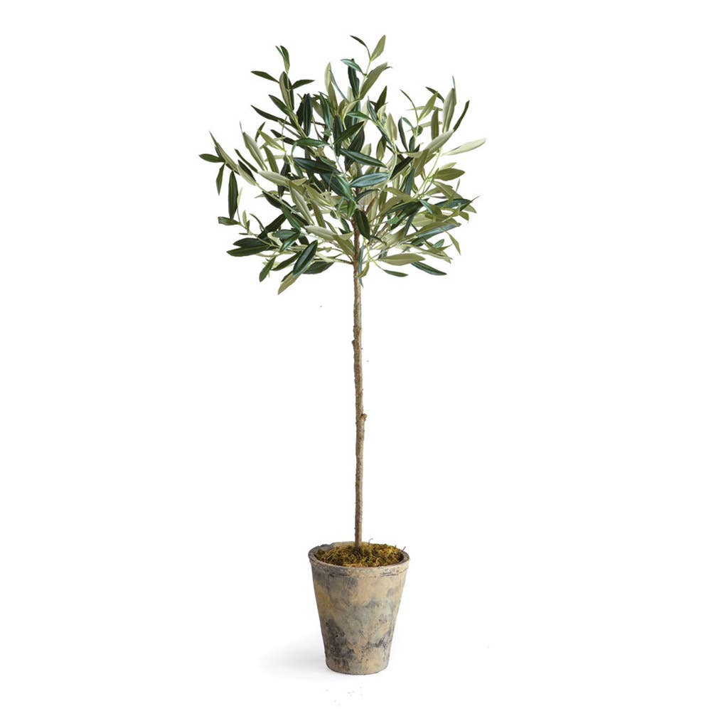 Conservatory Faux Olive Tree Tree in Ceramic Planter 30" - Curated Home Decor