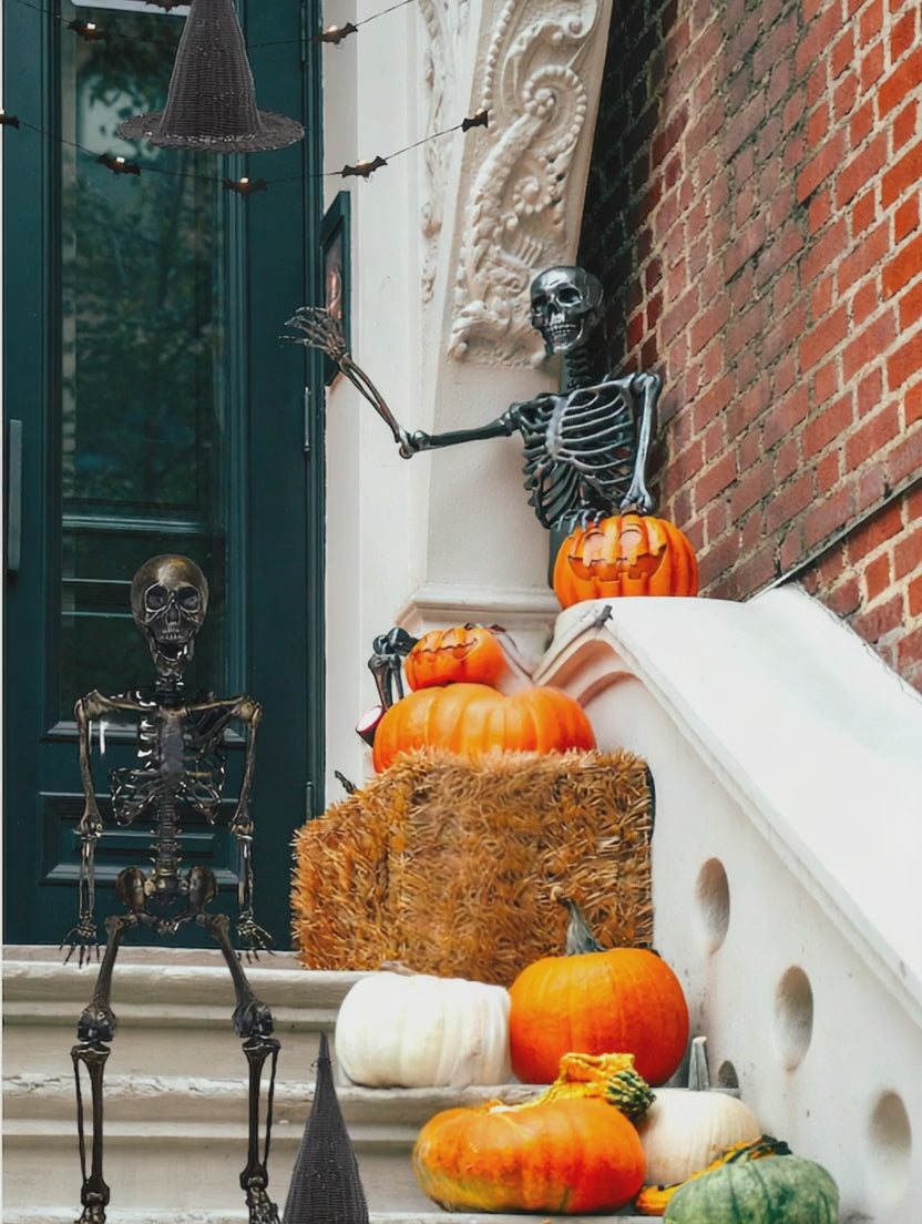 Curated Home Decor