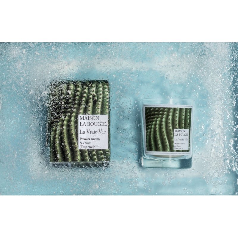 
                  
                    Maison La Bougie - La Vraie Vie - Curated Home Decor
                  
                