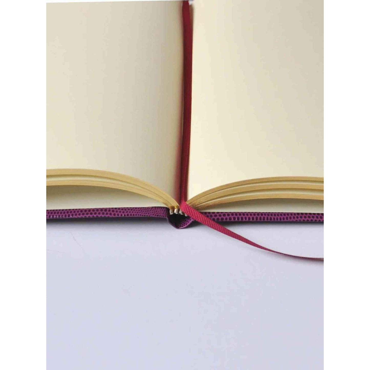 
                  
                    WTF Notebook - Curated Home Decor
                  
                