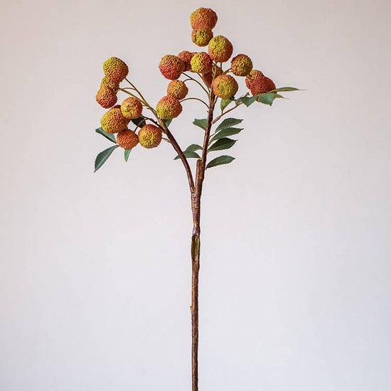 Artificial Fruit Lychee Stem 27" Tall - Curated Home Decor