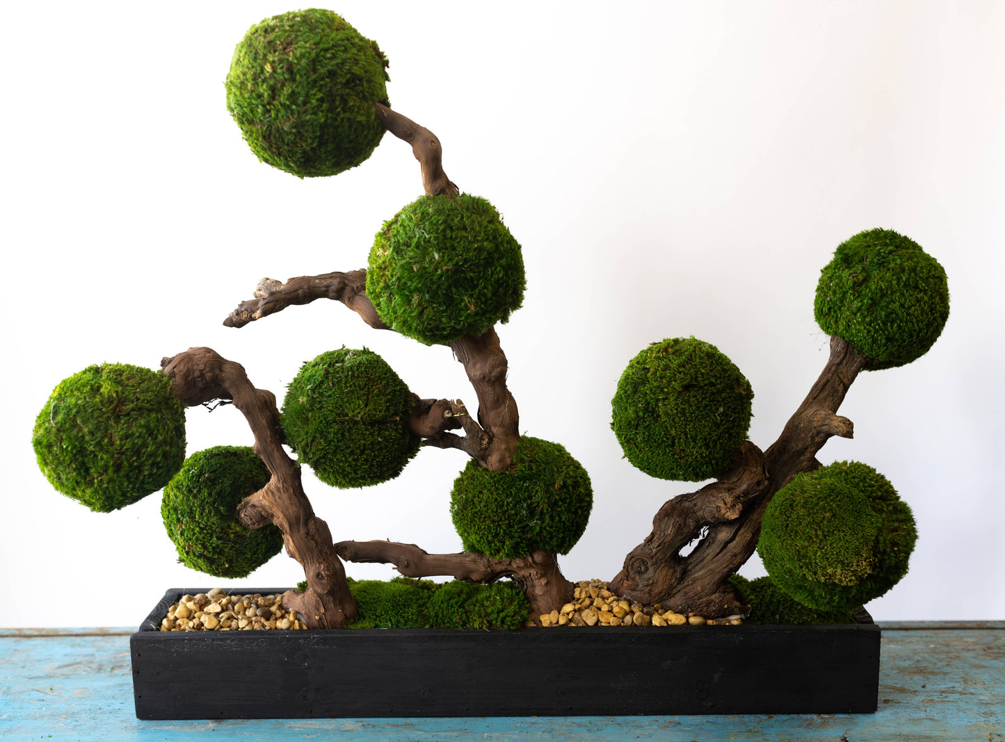 Moss Ball Hedge - Curated Home Decor