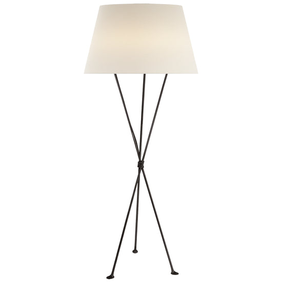 Load image into Gallery viewer, Visual Comfort Signature - ARN 1027AI-L - One Light Floor Lamp - Lebon - Aged Iron
