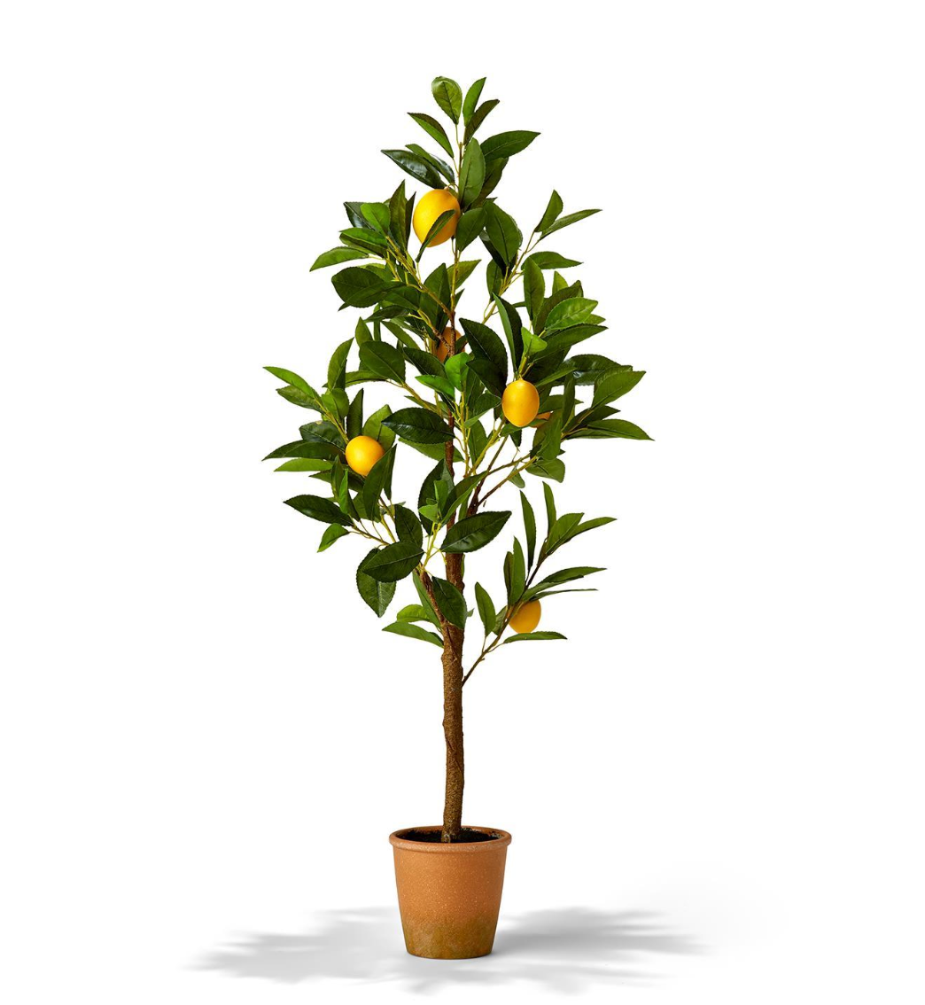 35" Faux Potted Lemon Tree - Curated Home Decor
