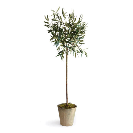Napa Home & Garden - Olive Tree Potted 46" - Curated Home Decor