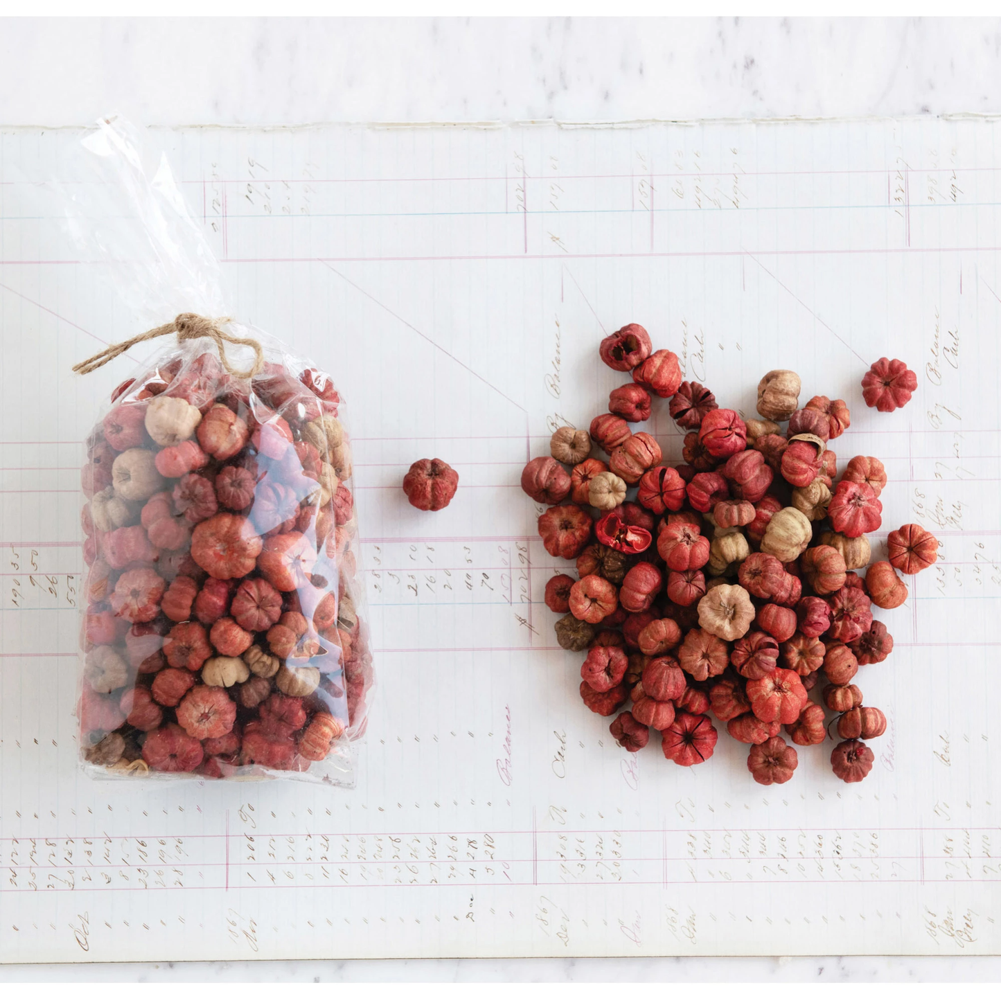 Dried Natural Peepal Pods in Bag - Curated Home Decor