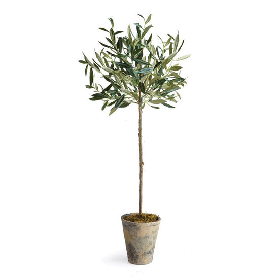 Load image into Gallery viewer, Napa Home &amp;amp; Garden - Olive Tree Potted 30&amp;quot; - Curated Home Decor
