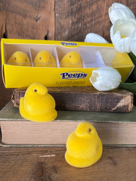 Set of 5 Boxed Flocked Peeps - Curated Home Decor