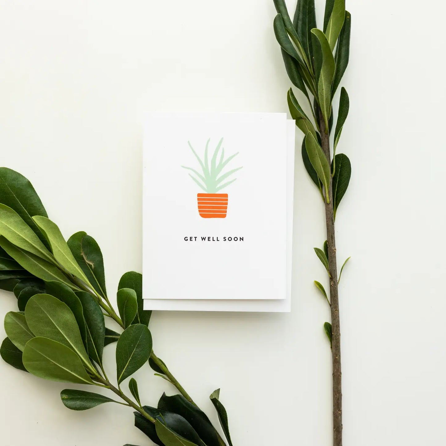 Get Well Soon Plant Card - Curated Home Decor