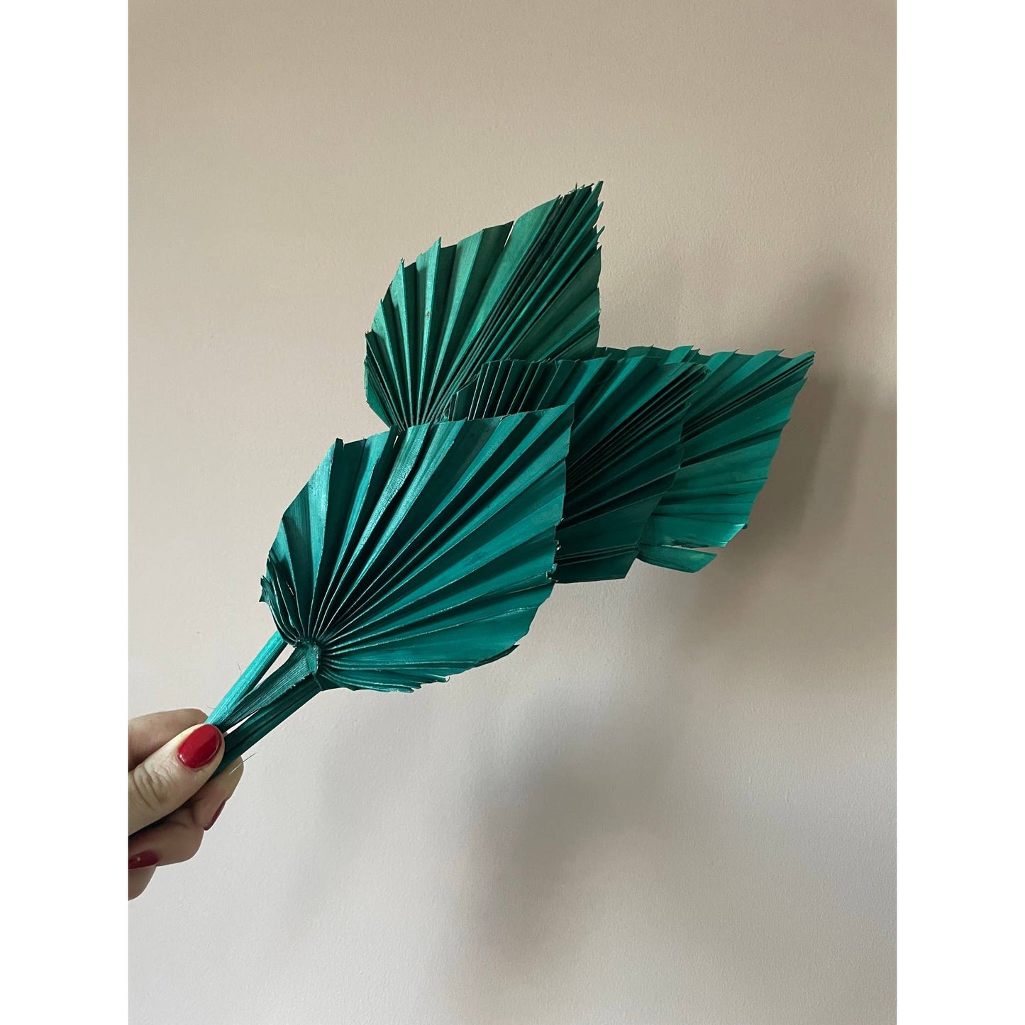 Pavot blue interiors - Natural dried deep green palm spear - Curated Home Decor