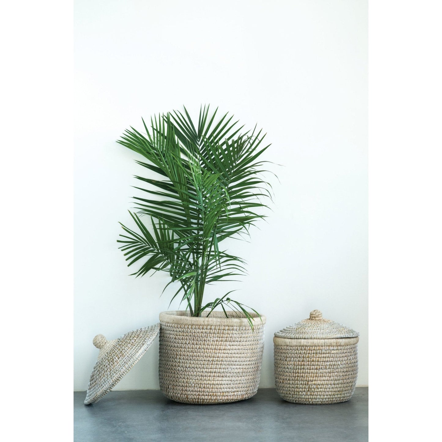 Seagrass Basket with Lid - Curated Home Decor